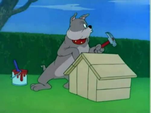 猫和老鼠:尽管斯派克都已经很小心了,但却还是被汤姆打在头上压塌了狗