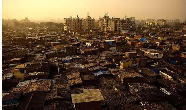 孟买2019年gdp_孟买猫(3)