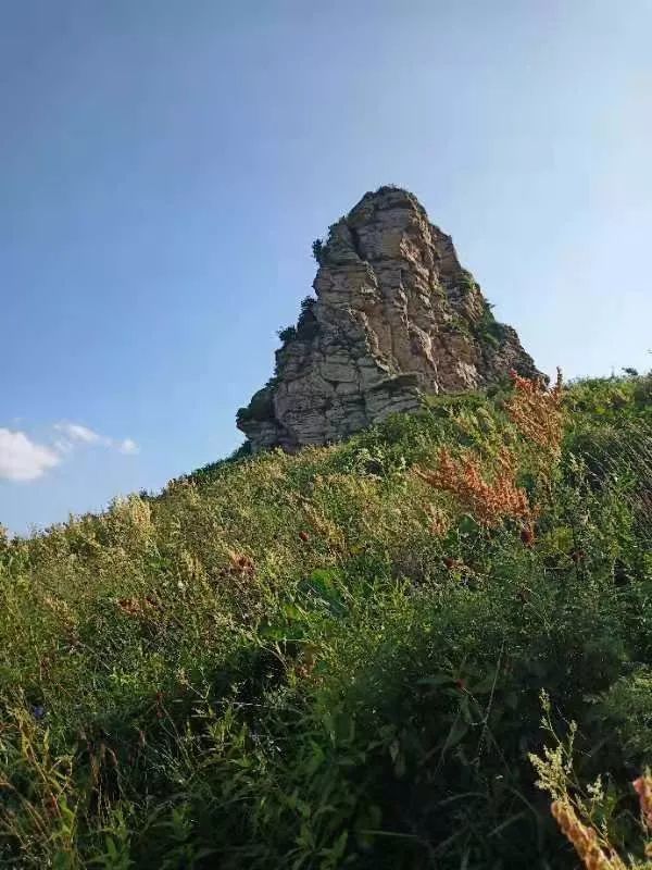 第一高峰歪頭山:走過的路,一花一葉都是生命的寫意,一草一木都是風景