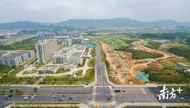 一座牛场的记忆与兴盛从国营农场迈向光明科学城