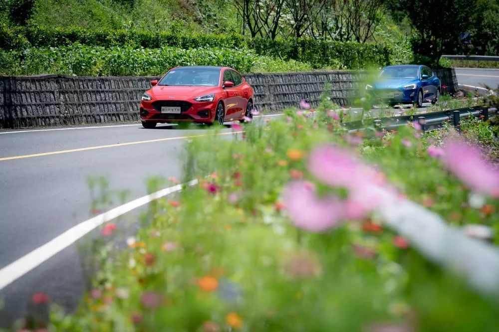 福克斯还是福克斯 只不过是多了一台suv