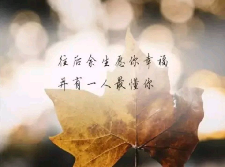三行情书:七夕唯美情语,可有一段撩到你的心!