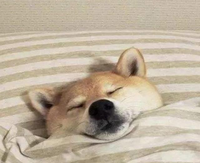 腾讯内容开放平台