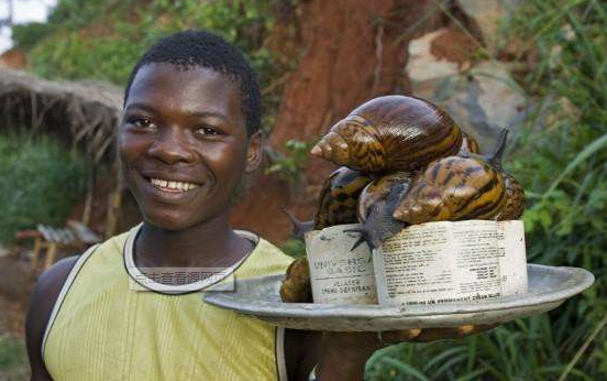 男子用非洲蜗牛图片