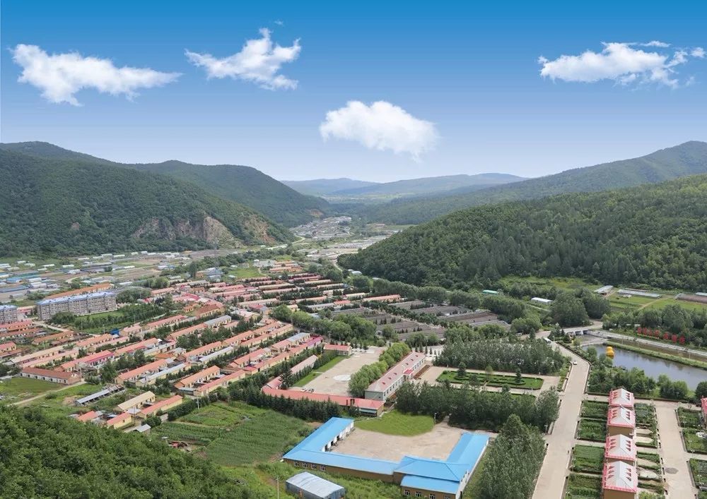 媒体关注黑龙江日报绥阳林区湿地生态好产业发展快