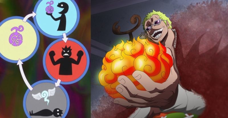 海贼王:在海贼王中,有各种各样的果实,哪个才是最全面的果实