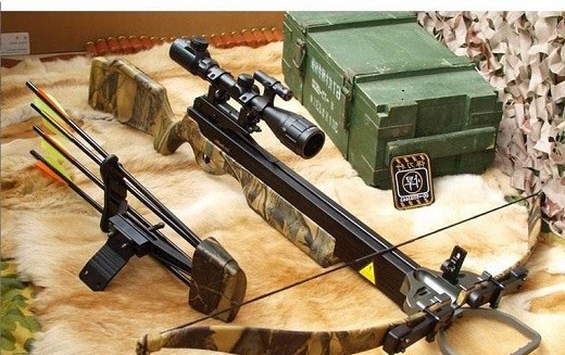 最强弓弩:第1特种兵最爱,第3价值40万,一箭能打碎犀牛头骨