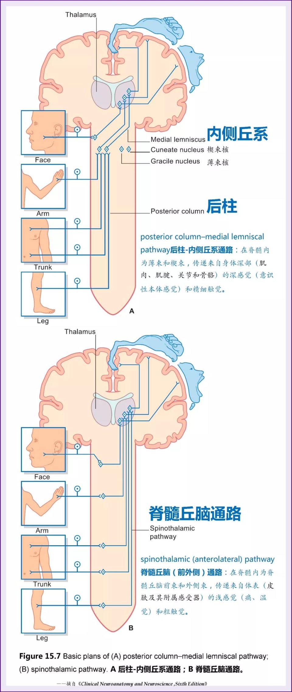 腾讯内容开放平台