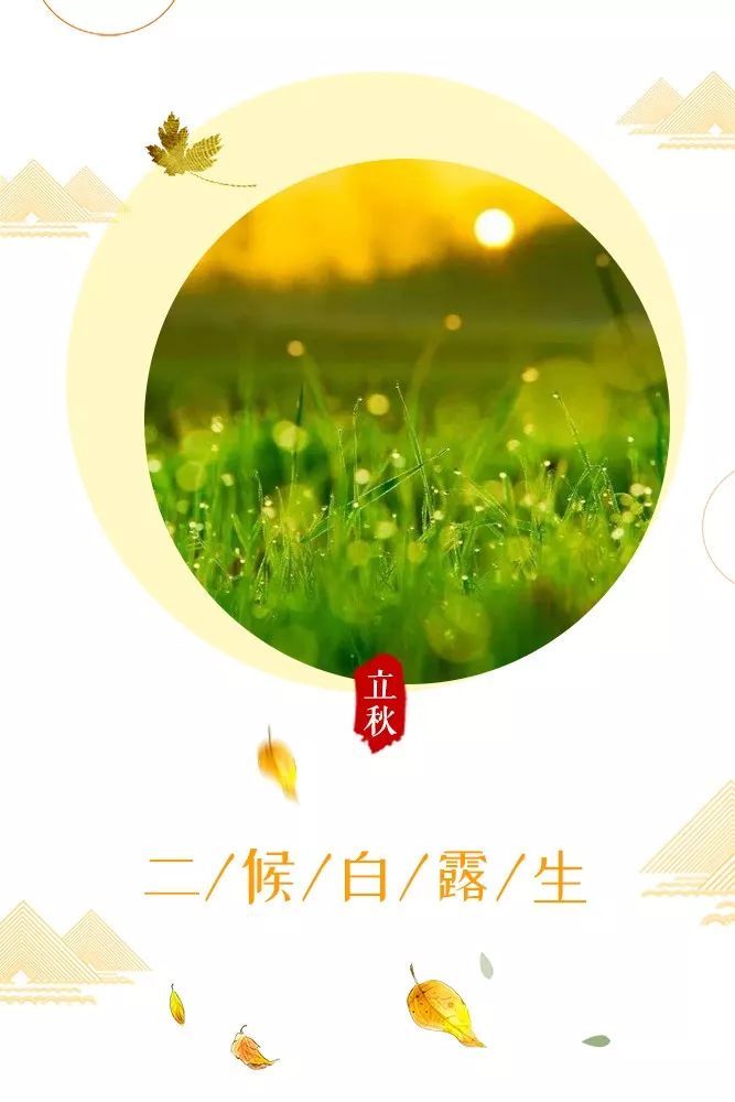 你好,立秋