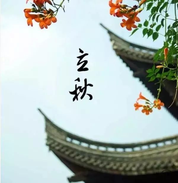 立秋丨风吹一片叶 万物已惊秋