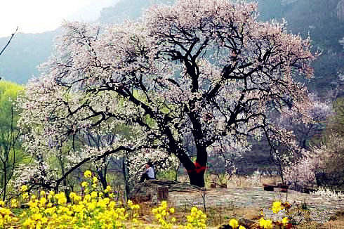 华胥镇旅游景点图片