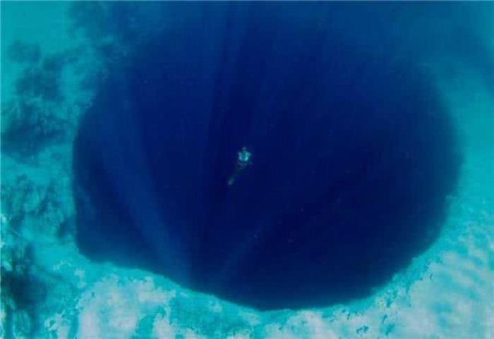 深海恐惧症 测试 这几张图一张比一张恐怖 看你的胆子有多大