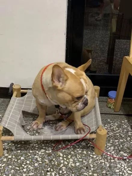 新床不到三天就被压坏 法斗扭头装傻 质量不好怪我