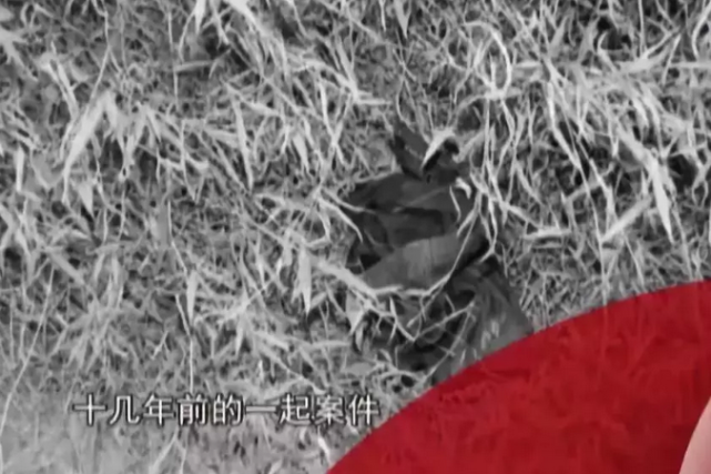 广州番禺15年前杀人分尸案告破，都是传销惹的祸_腾讯新闻