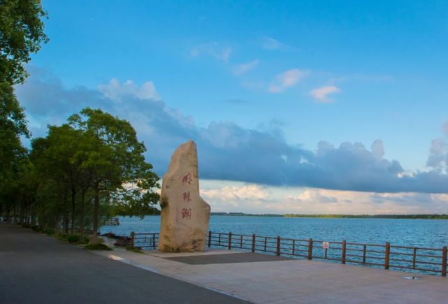 崇明这些独特风景,等你来拍出逆天美照