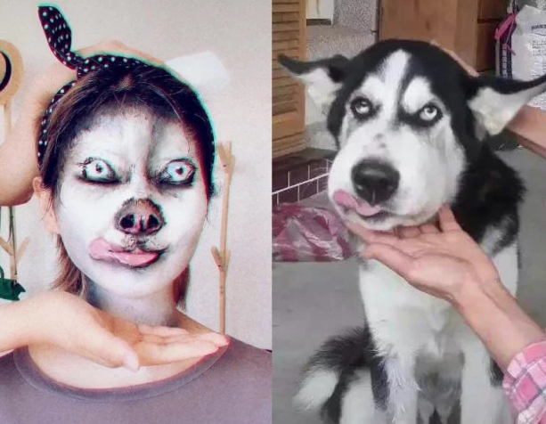 同样是仿妆,扛过乔碧萝,躲过哪吒,看到哈士奇:是个狠人!