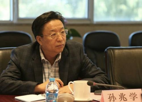 举报材料中提及李伟在金矿储量方面造假.