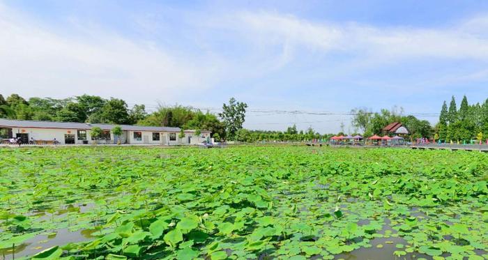 成都最穷的县排行_成都发展最穷的3个县,一个是成都的南大门,一个是大