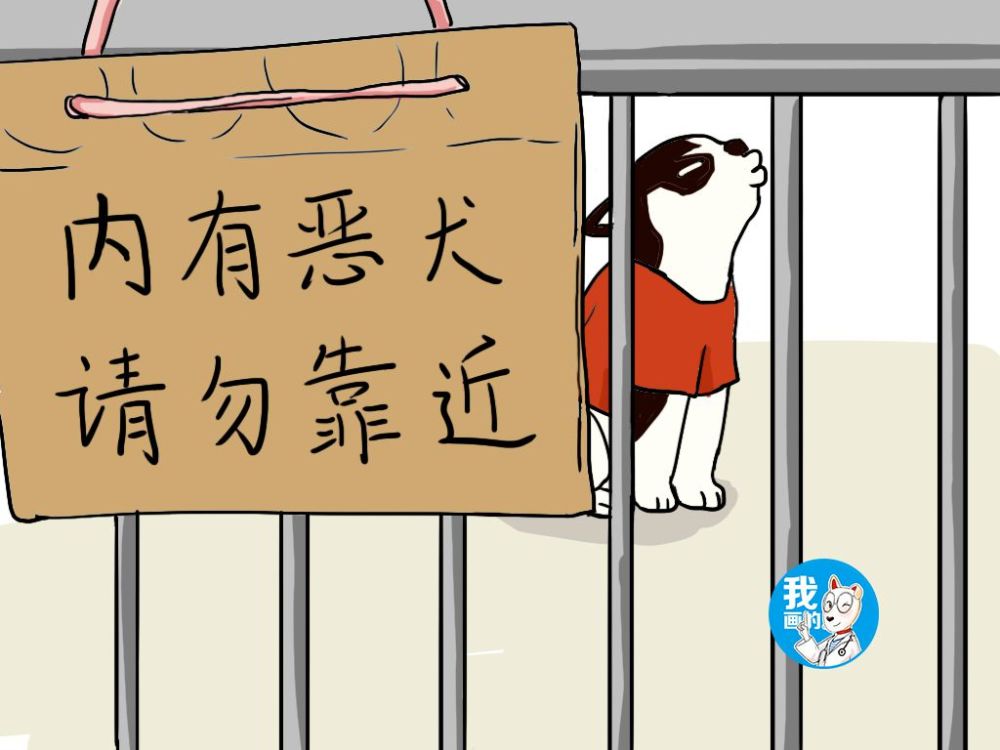 路过一院门口挂牌"内有恶犬",感到一丝不安,瞟了一眼直翻白眼