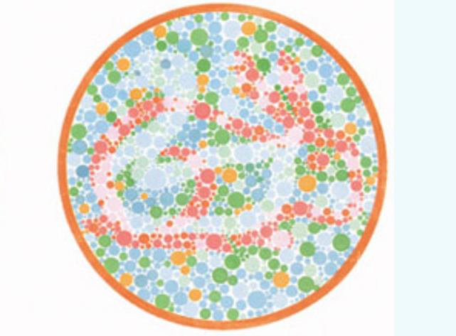 驾考前必考色盲测试第三张图中是兔还是鸭看错就不能再考驾照