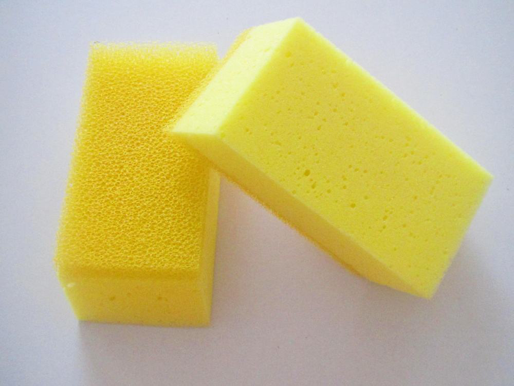 每次扦插都倍受打击?那是因为你没用小海绵,一块就能扦插满屋!