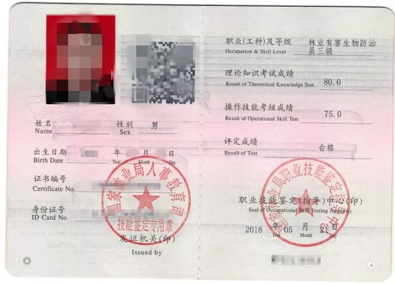 三,鉴定级别条件