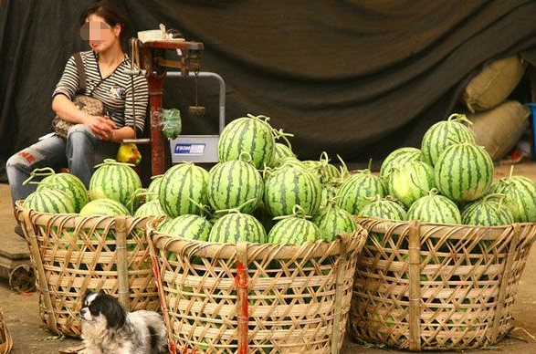 买西瓜时要注意,3种西瓜别买,瓜农:我自己从来不吃,拿来卖