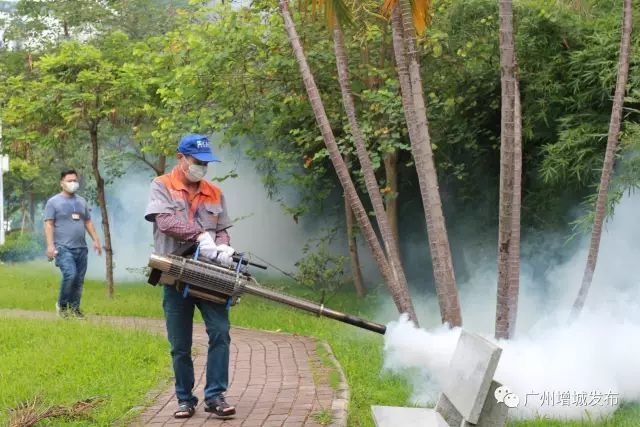 增城街坊注意未来一个月全区开展统一灭蚊行动