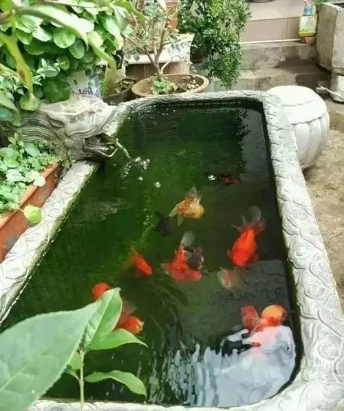 养水之道 在古法