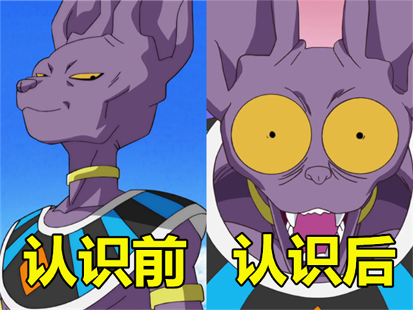 龙珠:和悟空认识前vs后,比克成保姆,界王神变菜,图4尊严呢