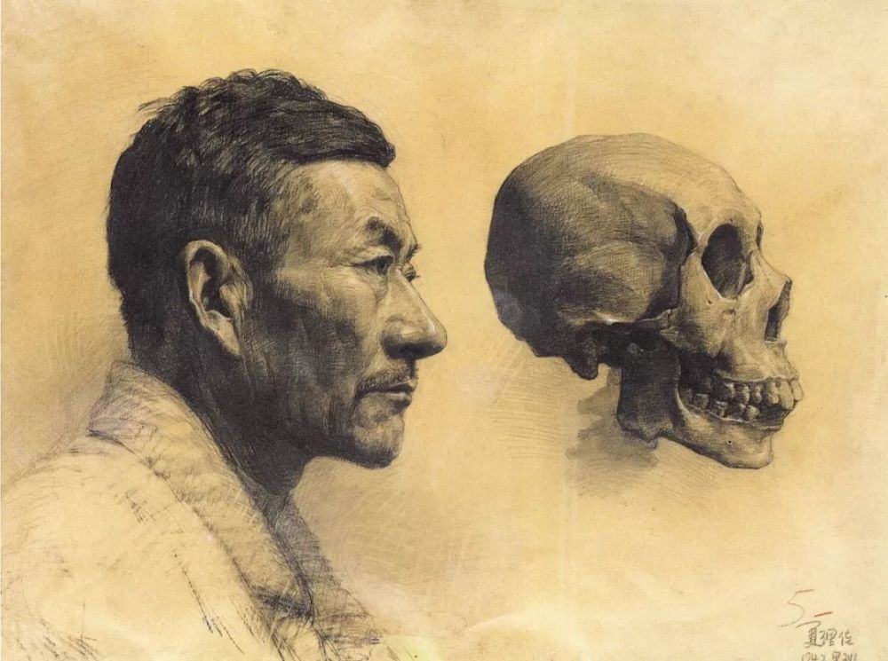 素描|学院派素描的经典——素描头像