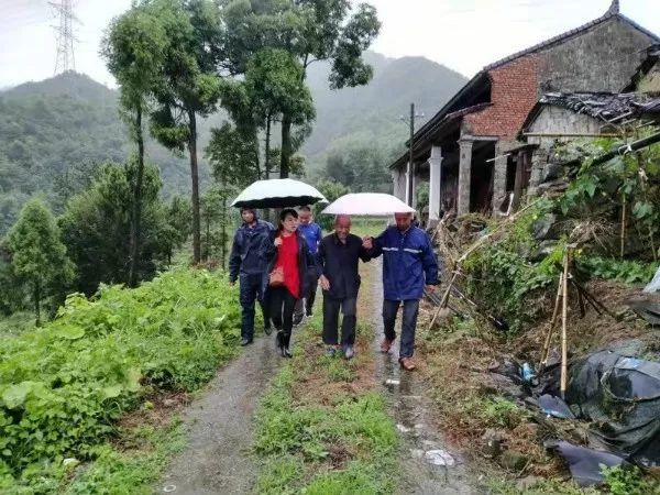 "利奇马"中奔跑的天台巾帼