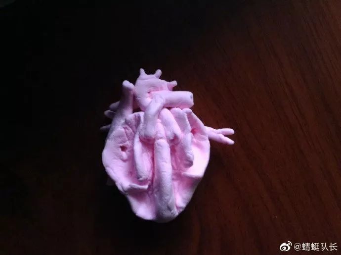 重症病人午夜心率报警惊动整个医院结果竟然是自己在撸管