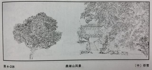 鼎湖山风景的速写步骤