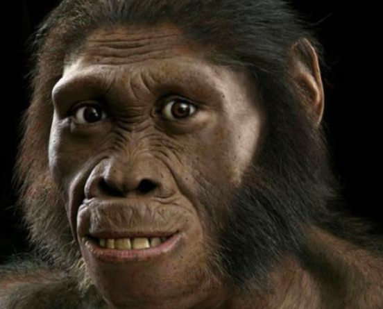 地球上原本没有人类 第一个 人 是怎么来的 今天涨知识了