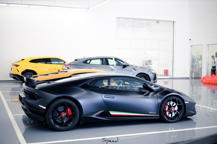 小牛performante