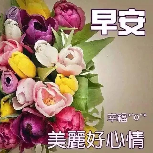 週末清晨群發早安問候語溫馨短句配圖早晨問候祝福語短信