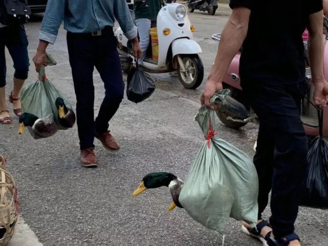 买鸭,劏鸭,拔鸭毛,吃鸭 除了一家