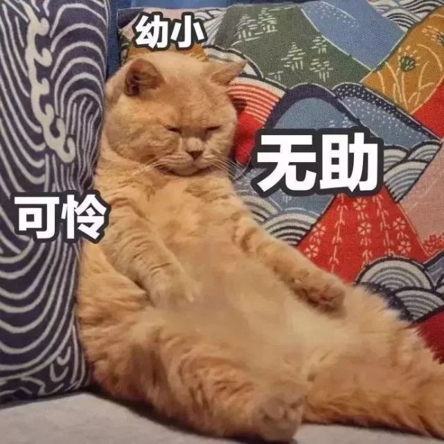 因为忘带钥匙,你都干过哪些丧心病狂的事情?