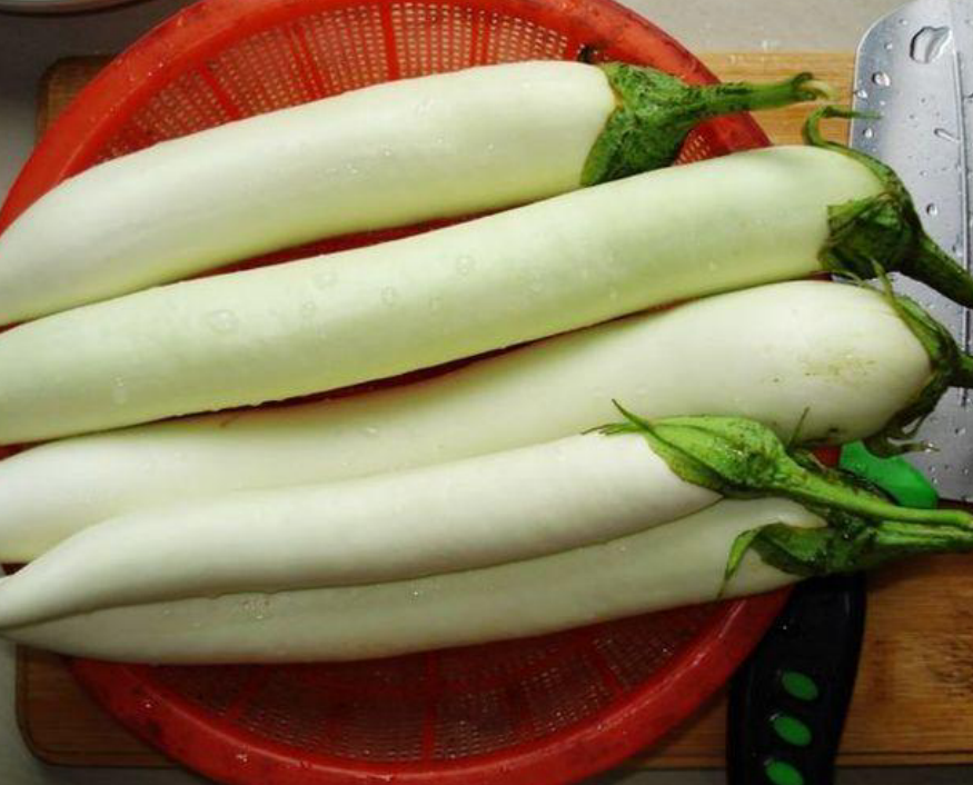 这种茄子皮白肉白 吃着似肉食鲜美柔嫩 如今在市场上供不应求