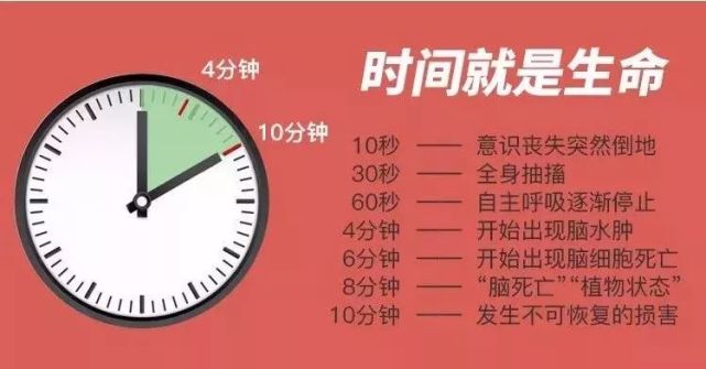心脏按压频率为每分钟100次(依据《国际心肺复苏指南2000》)