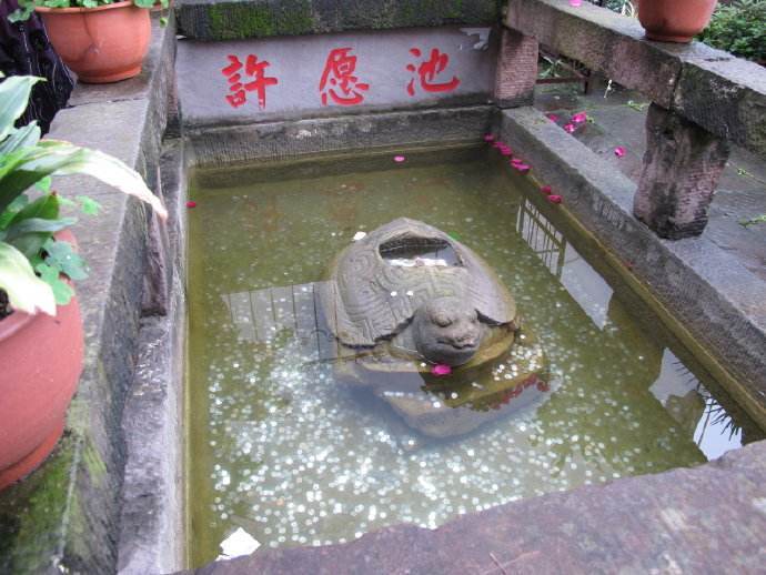 游客投进许愿池里的钱,最后都到哪里了?看完你还会投吗?