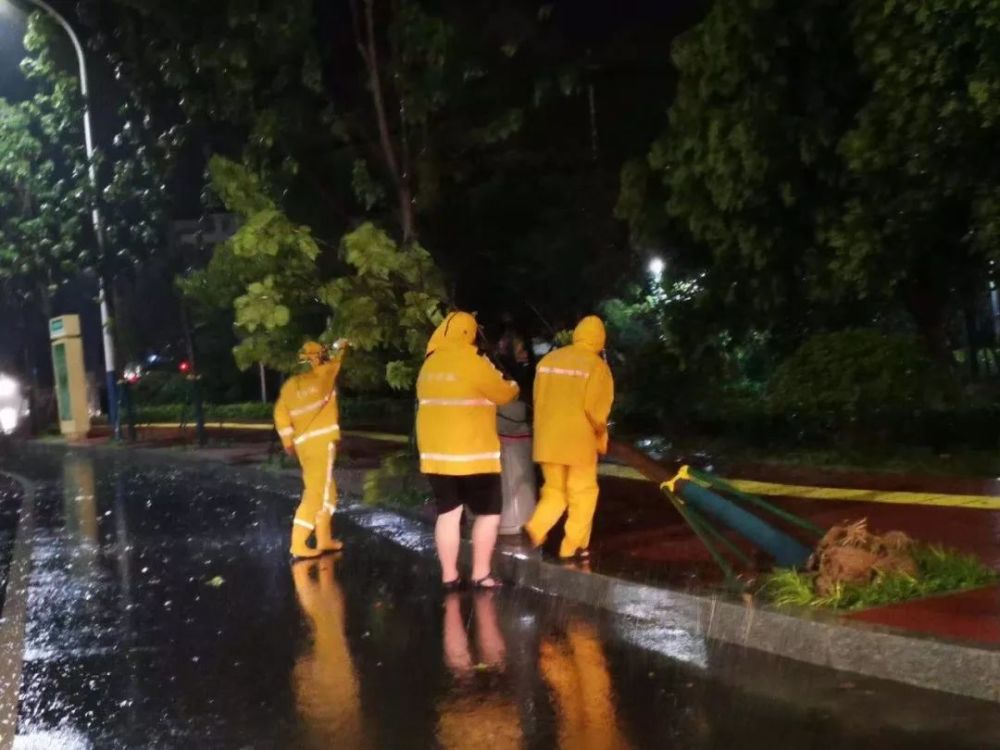 8月12日05時57分,菏澤市氣象局解除暴雨黃色預警信號在狂風暴雨中.