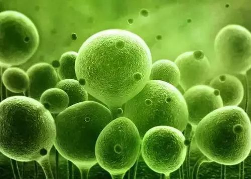 湖南中医药大学第一附属医院妇产科主任谈珍瑜教授详细进行