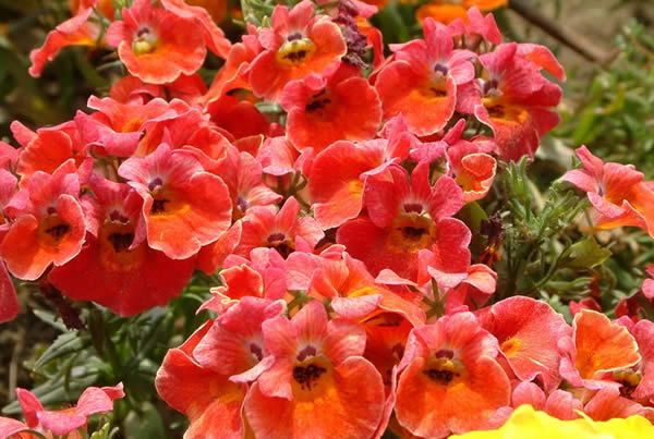 腾讯内容开放平台