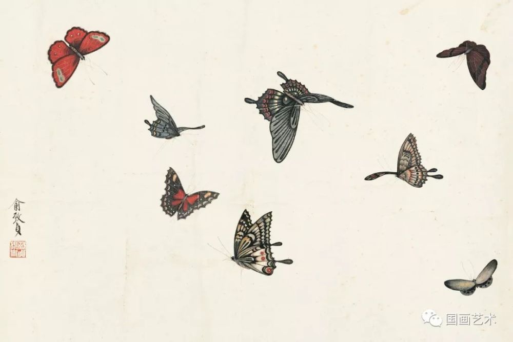 图文教程蛱蝶画法五例附画蝶教程汇总