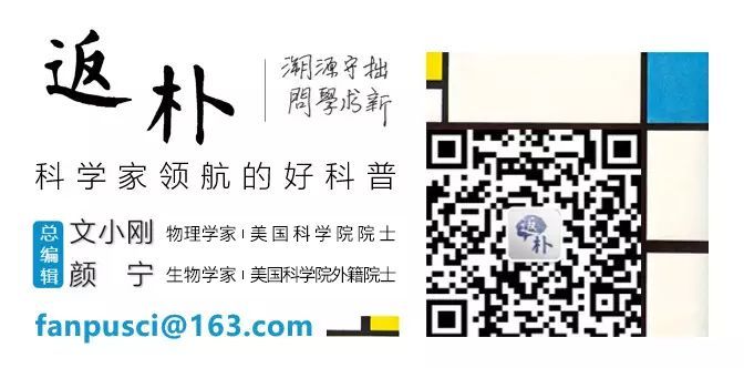 激光|在肥皂膜中，物理学家第一次看见光的分支流