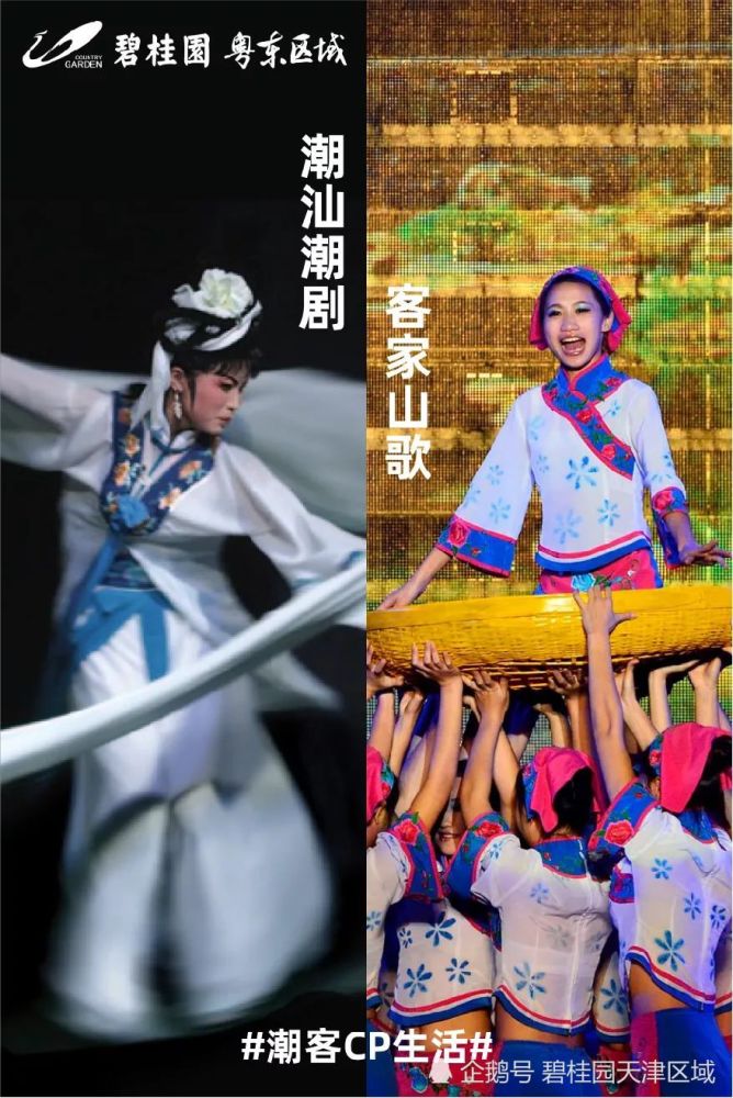 这潮汕客家口味的狗粮,味道竟是该死的甜美