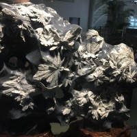 为什么火车下雪不会停开,看完这视频终于知道