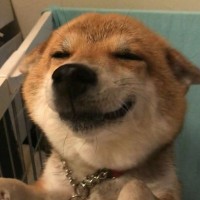 脐带间充质干细胞培养视频.